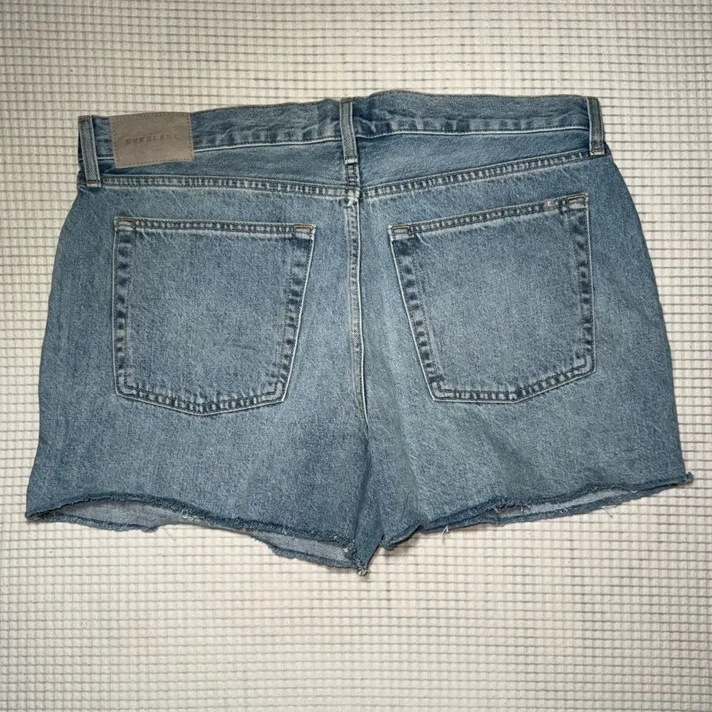 Everlane The Relaxed '90s Short Size 31